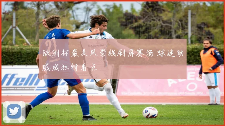 欧洲杯最美风景线刷屏赛场 球迷助威成独特看点