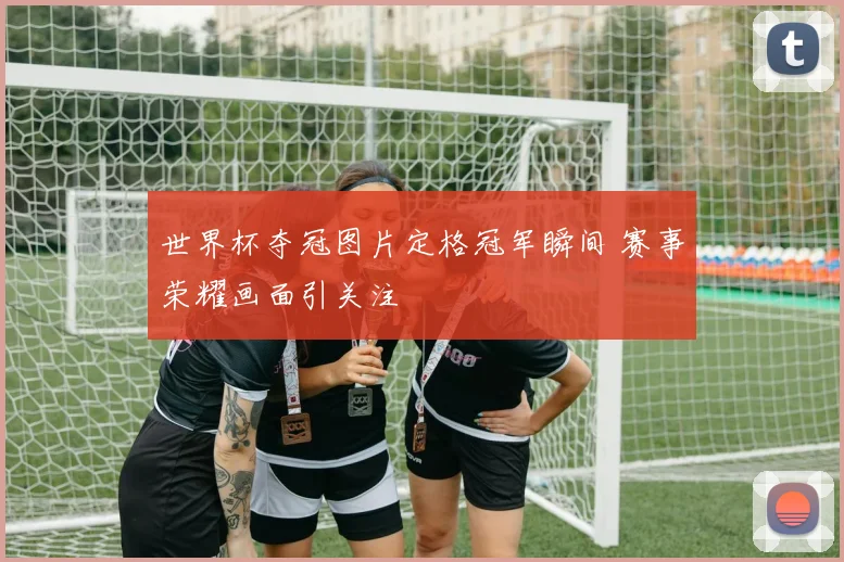 世界杯夺冠图片定格冠军瞬间 赛事荣耀画面引关注