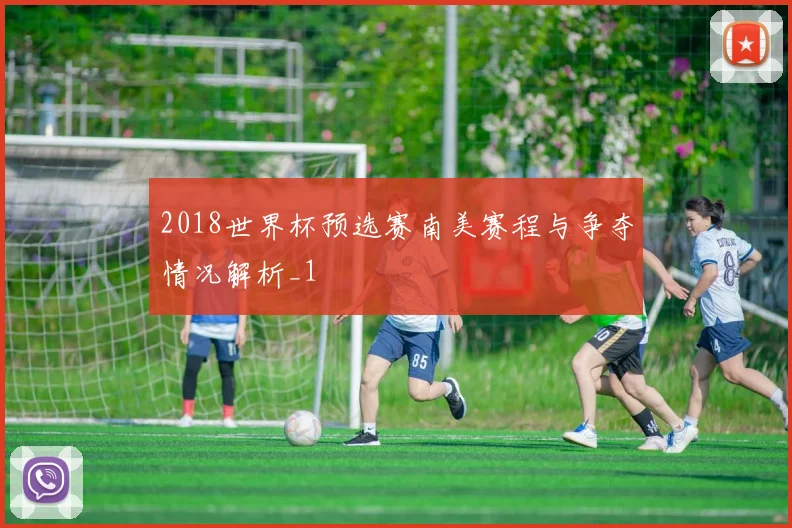 2018世界杯预选赛南美赛程与争夺情况解析_1